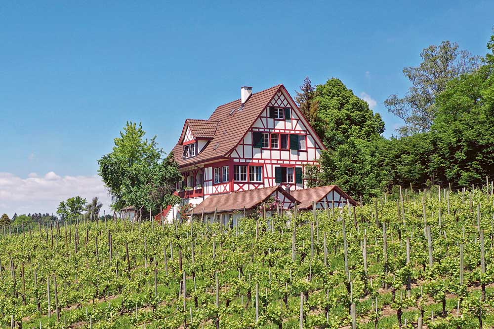 Weingutsbesuch Rebgut Familie Zahner