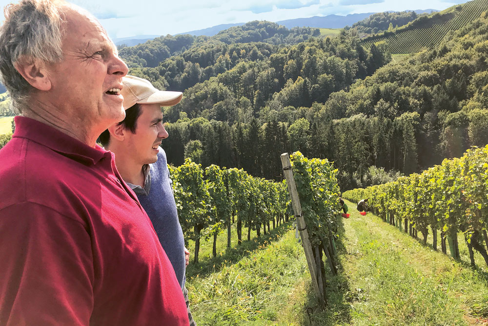 Weingutsbesuch Domaine Ciringa (Tement)