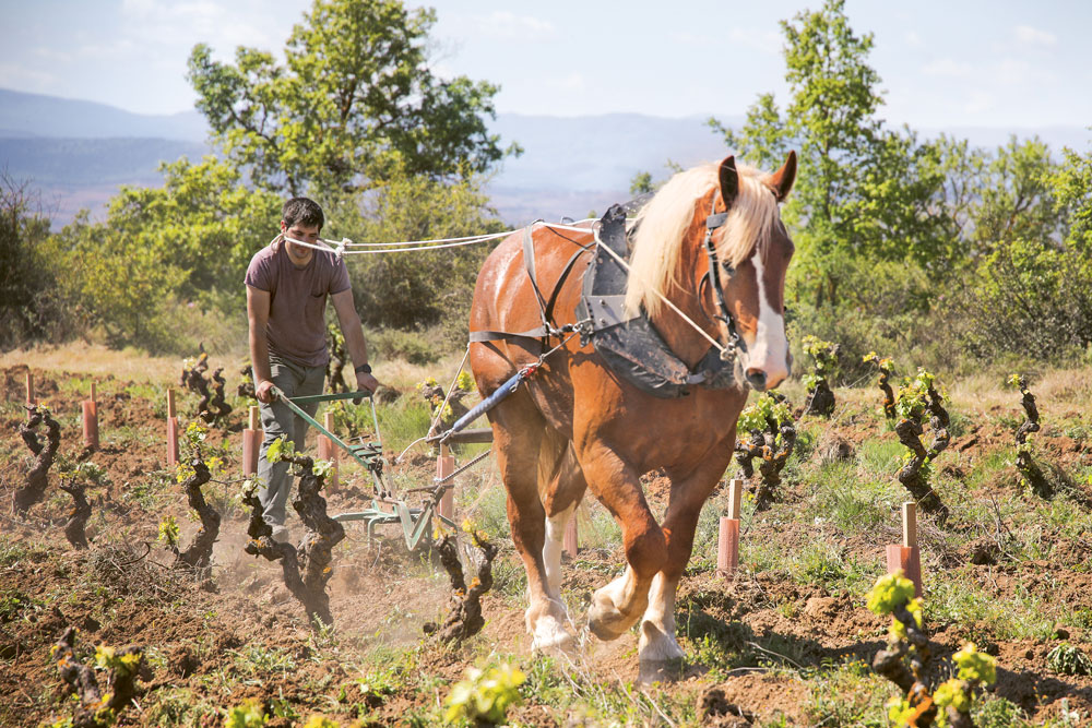 Weingutsbesuch Bodegas Murua