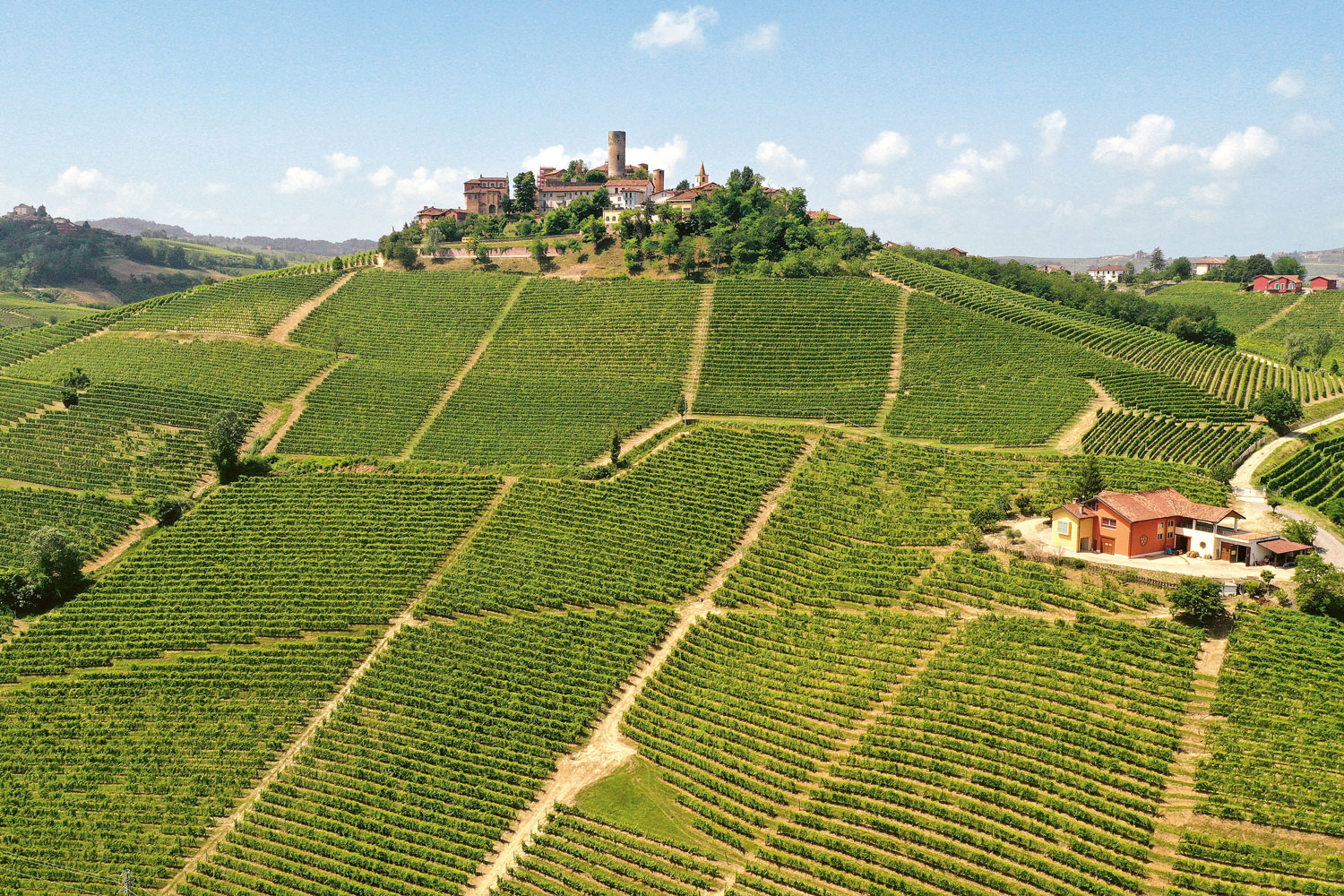 Weingutsbesuch Vietti