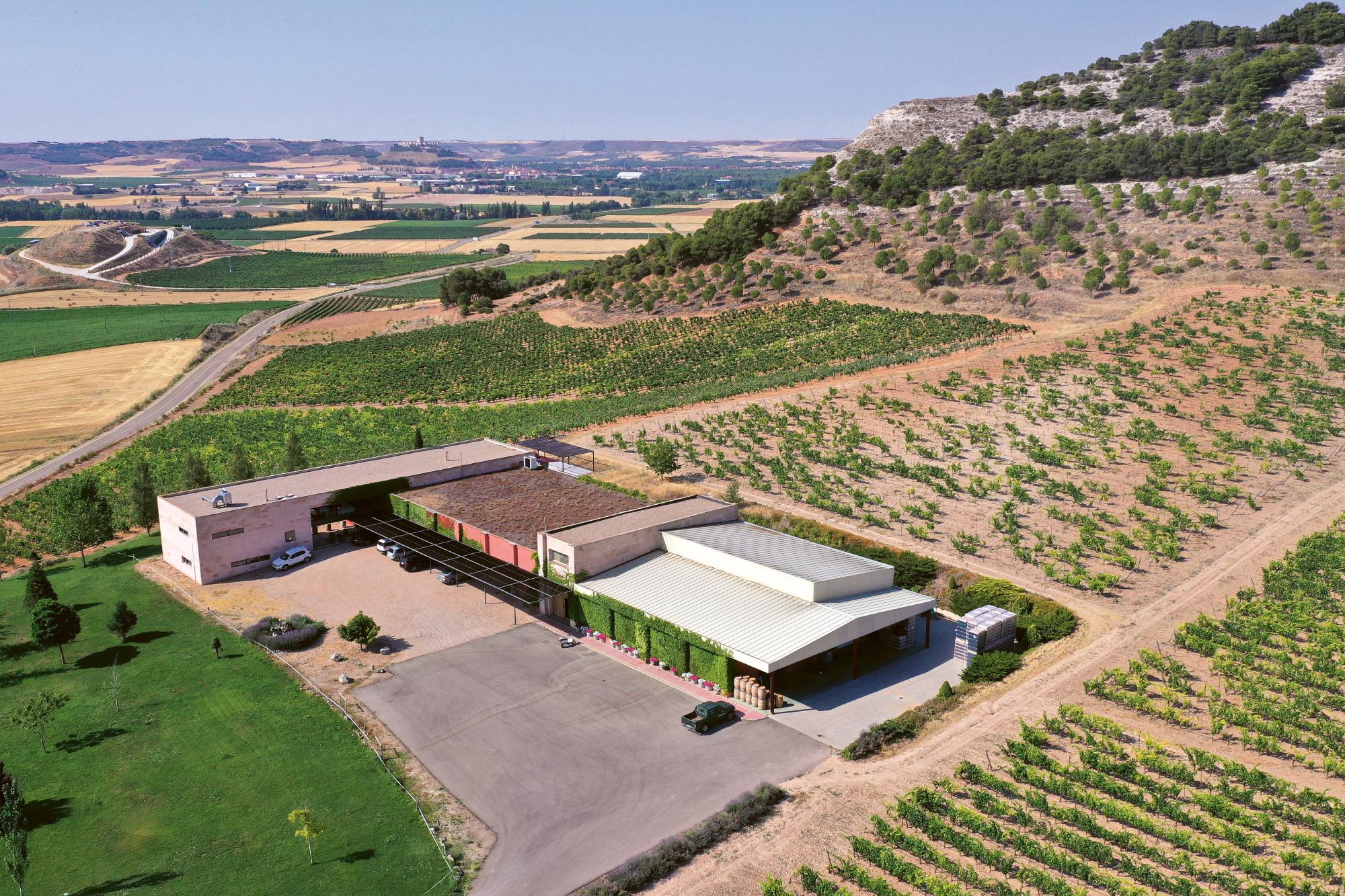 Weingutsbesuch Bodegas Comenge