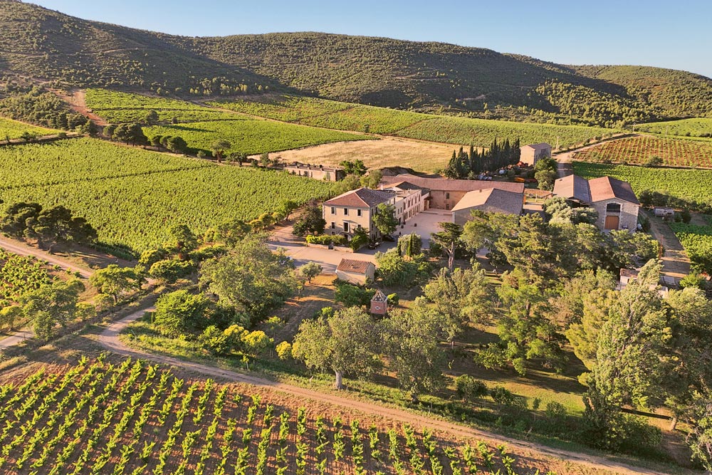 Weingutsbesuch Château Ollieux Romanis
