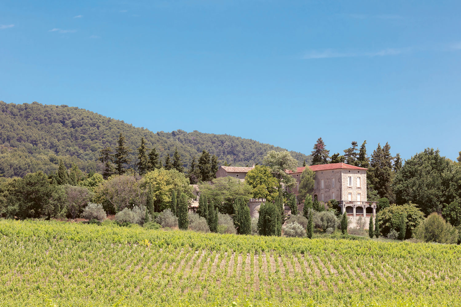 Weingutsbesuch Château de Saint Cosme