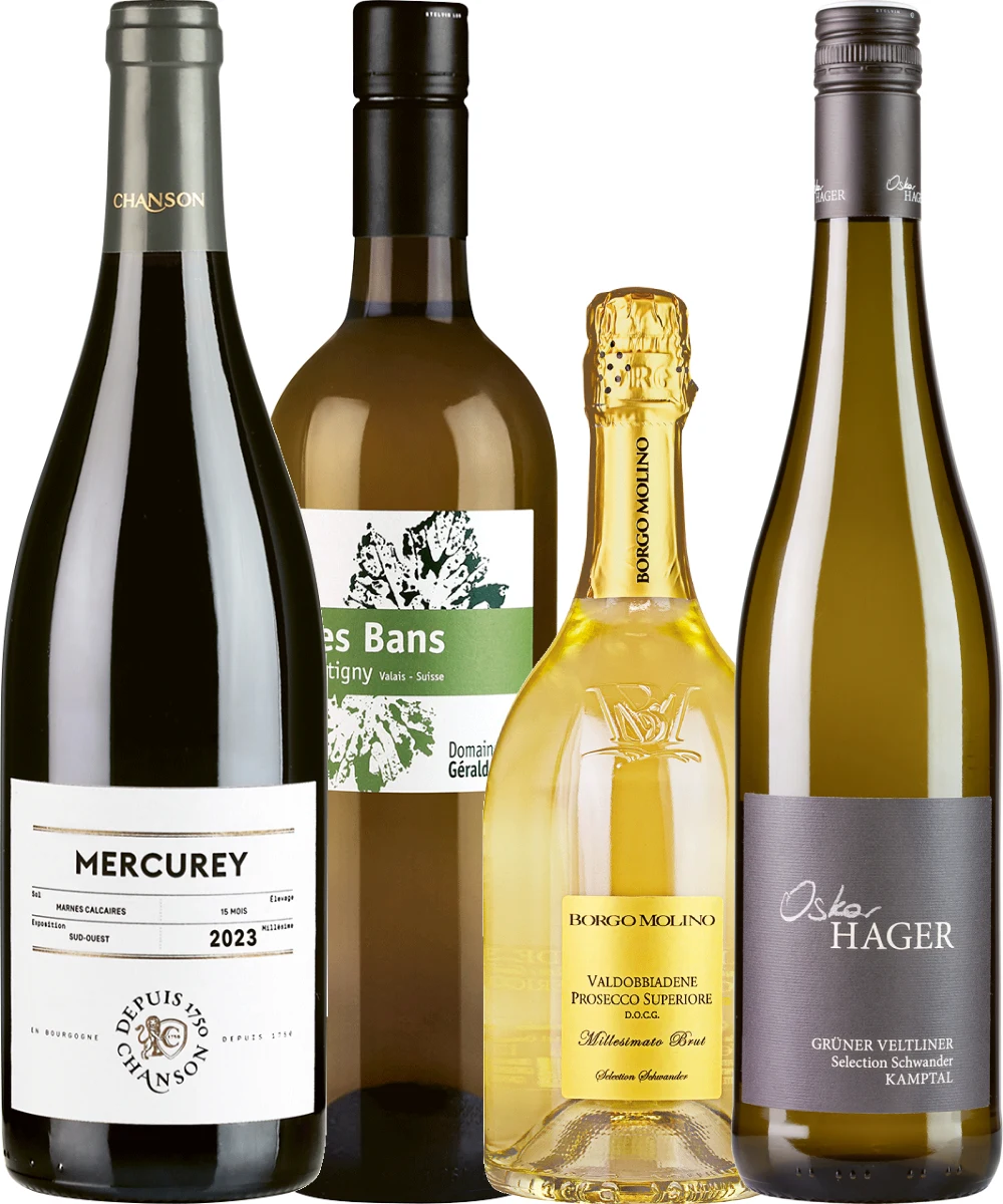 Degupaket Fondue
