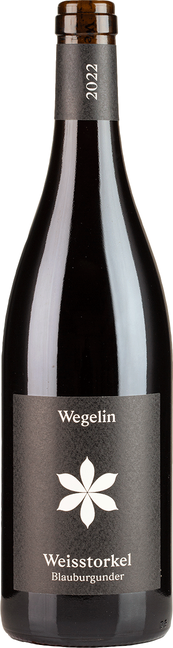 Weisstorkel Blauburgunder 