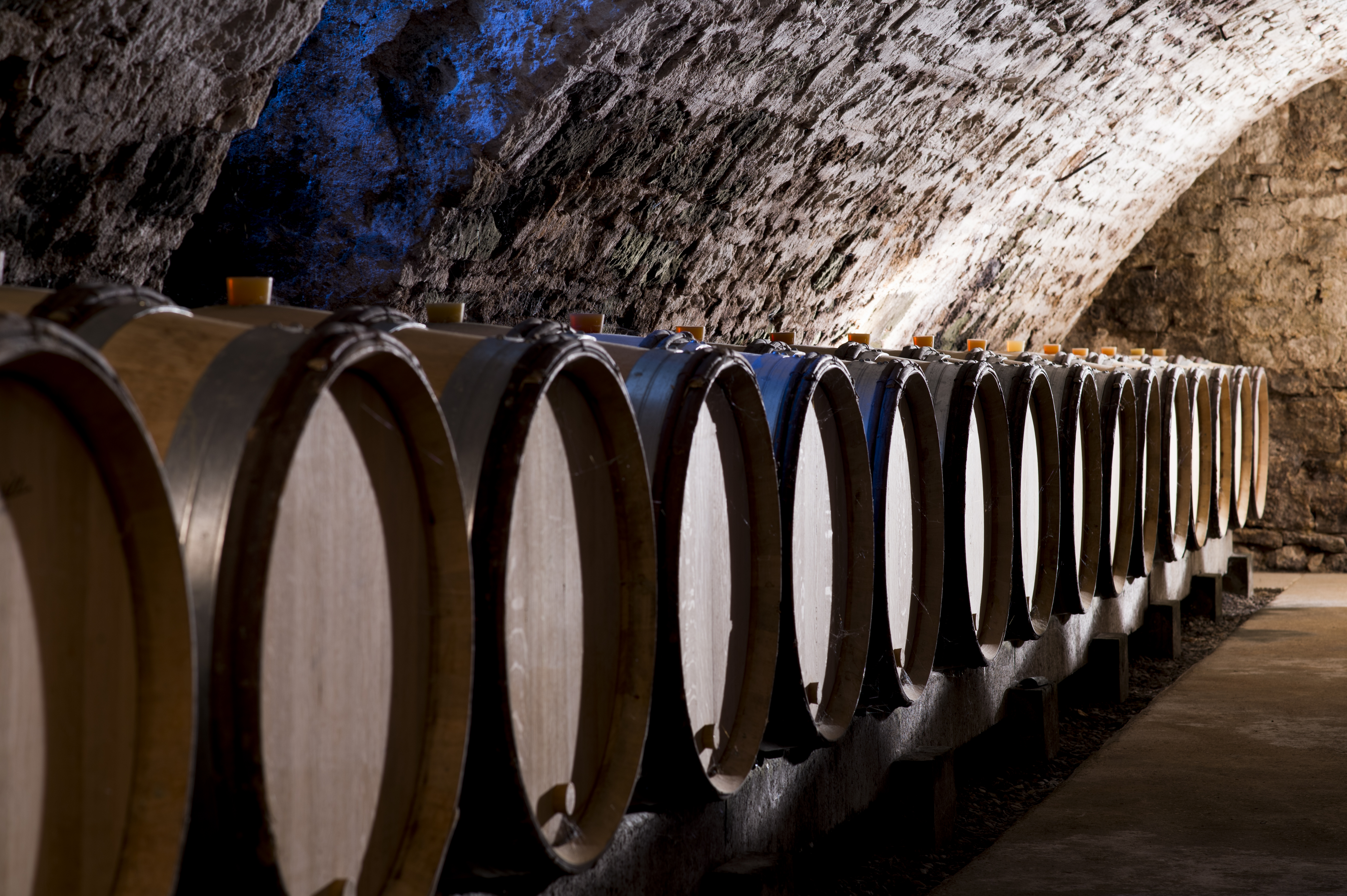 Domaine J.P. Droin & Benoît Droin