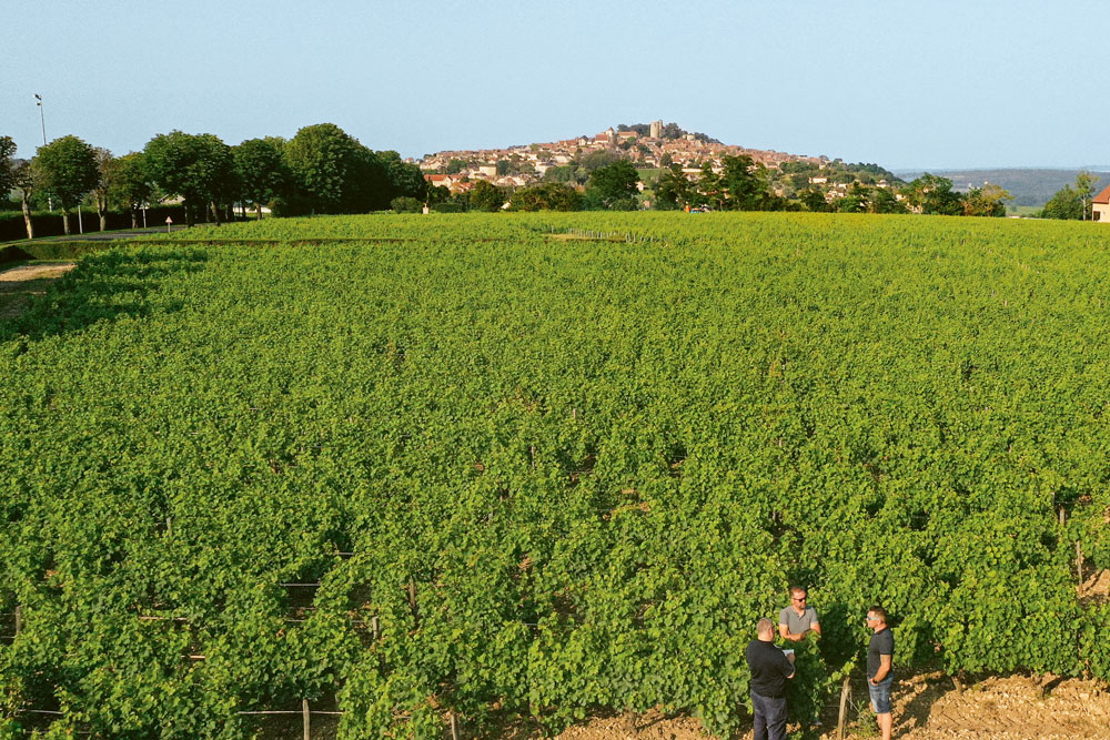 Weingutsbesuch Domaine Fouassier