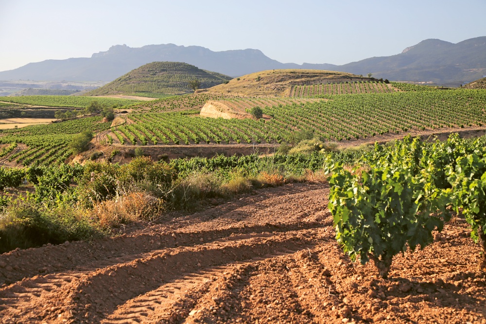 Weingutsbesuch Bodegas Murua