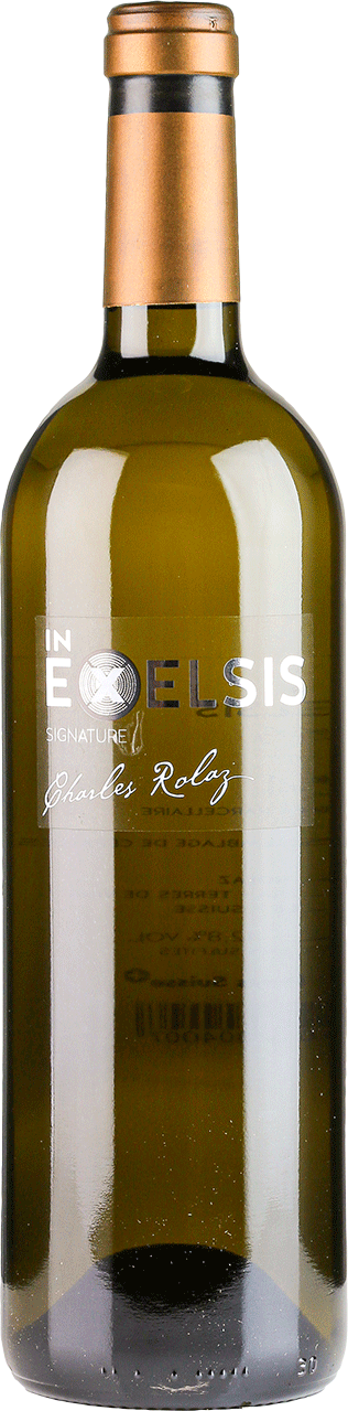 In Exelsis Blanc