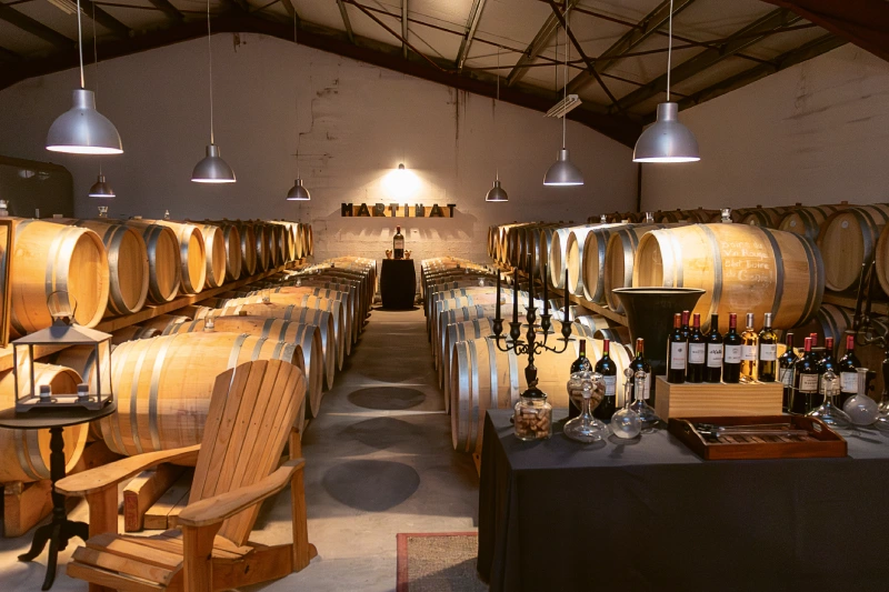 Weingutsbesuch Château Martinat, Côtes de Bourg