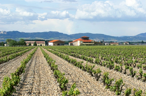 Weingutsbesuch bei Bodegas Finca la Emperatriz