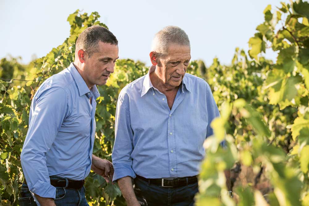 Weingutsbesuch Cantine de Falco