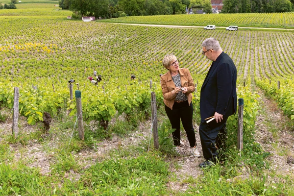 Weingutsbesuch Domaine Joseph Mellot