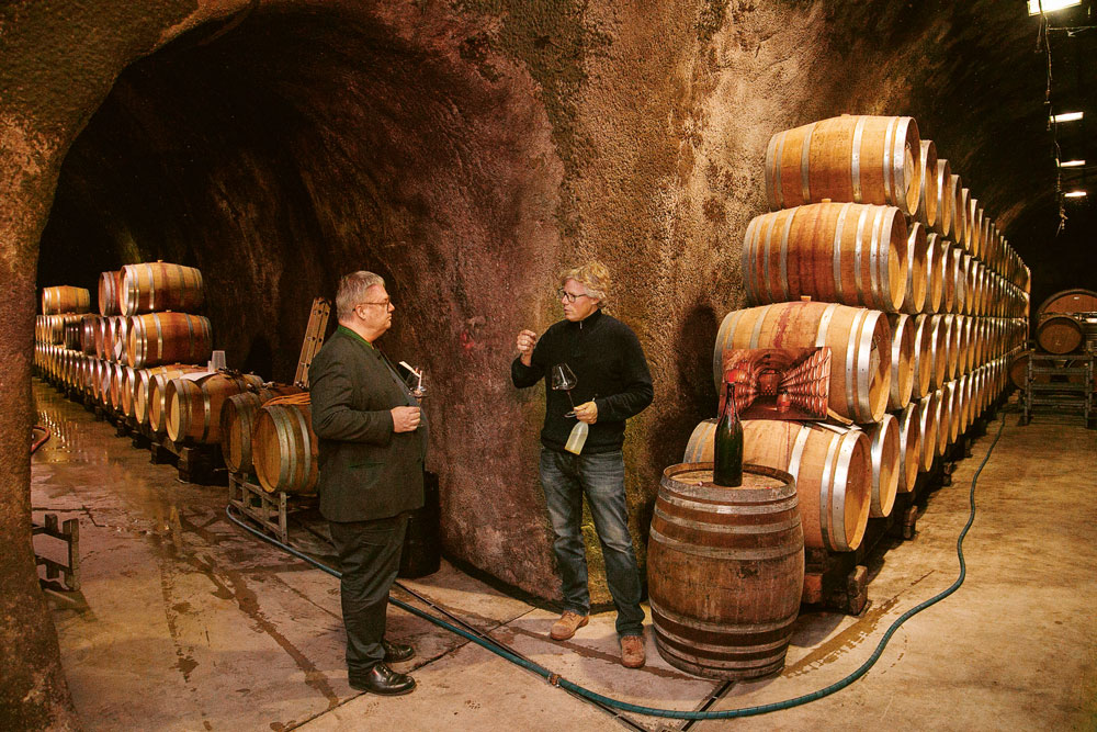 Weingutsbesuch Weingut Salwey