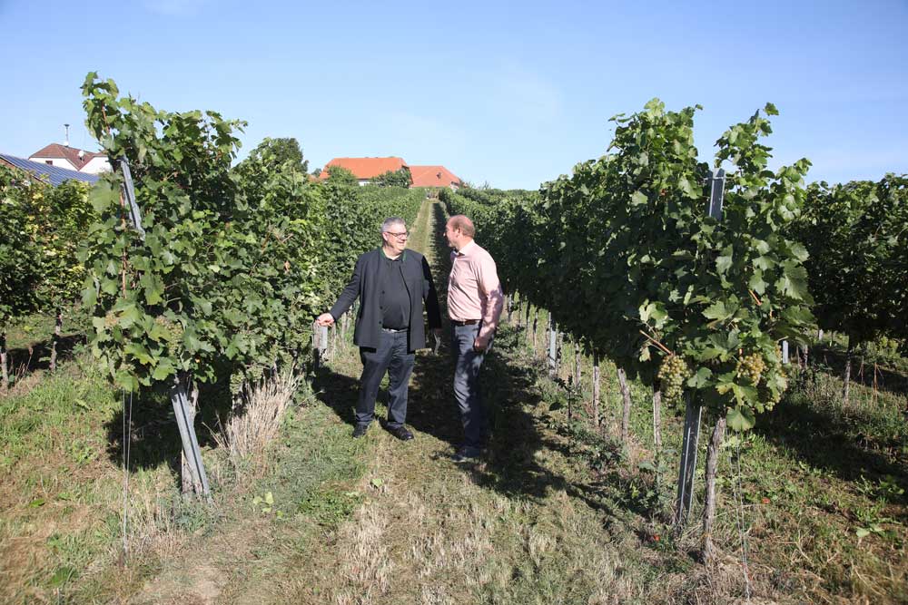 Weingutsbesuch Weingut Oskar Hager