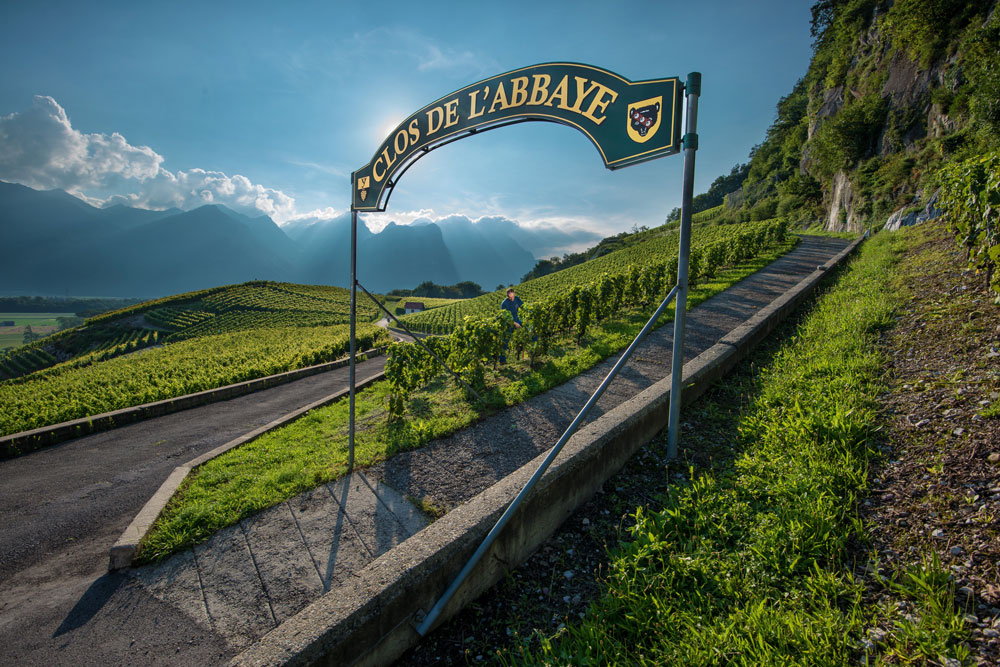 Weingutsbesuch Domaine de la Commune d'Yvorne
