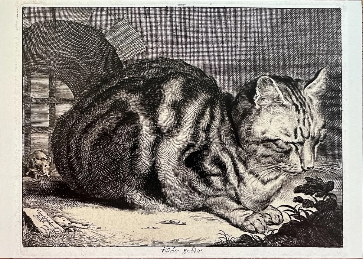 Cornelis Visscher «Die grosse Katze» ca. 1657