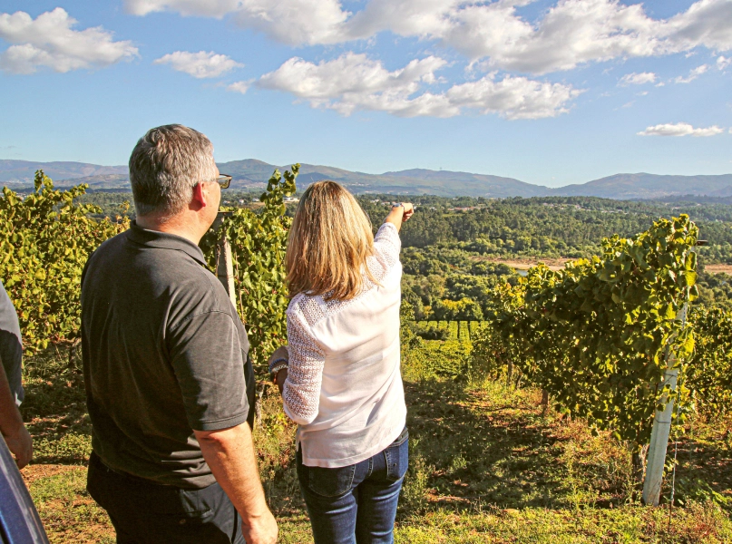 Weingutsbesuch Bodegas Fillaboa