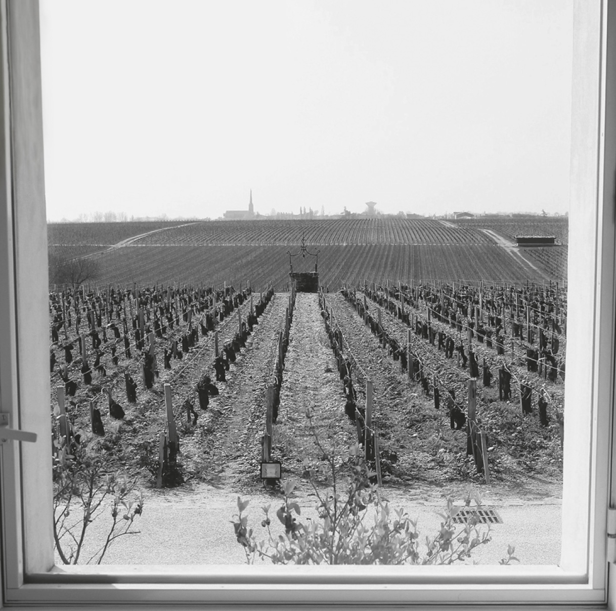 Schwanders Empfehlung: Bordeaux 2008