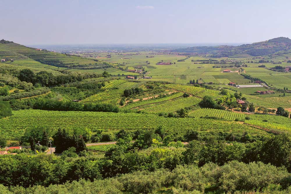 Weingutsbesuch Azienda Agricola Corte Sant'Alda
