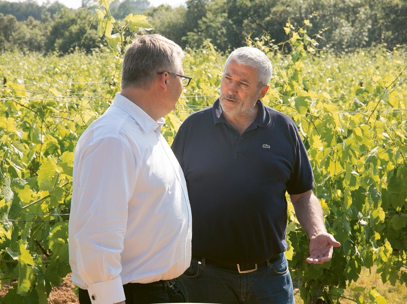 Weingutsbesuch Thierry Rodriguez