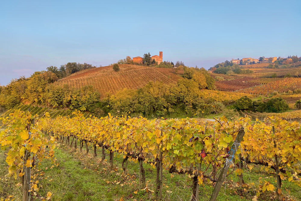 Weingutsbesuch Tenuta San Giorgio