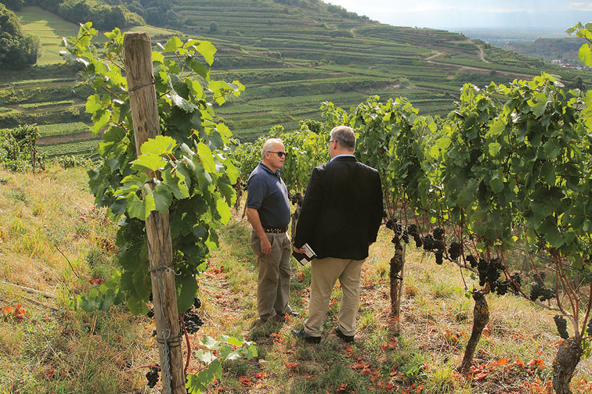 Weingutsbesuch Weingut Franz Keller