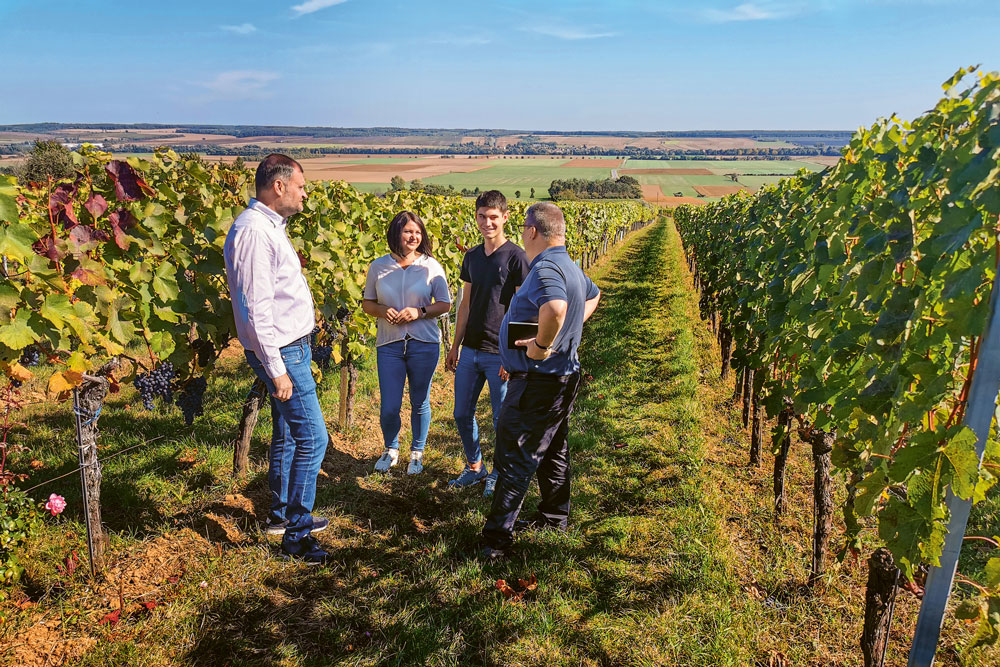 Weingutsbesuch Weingut Krutzler