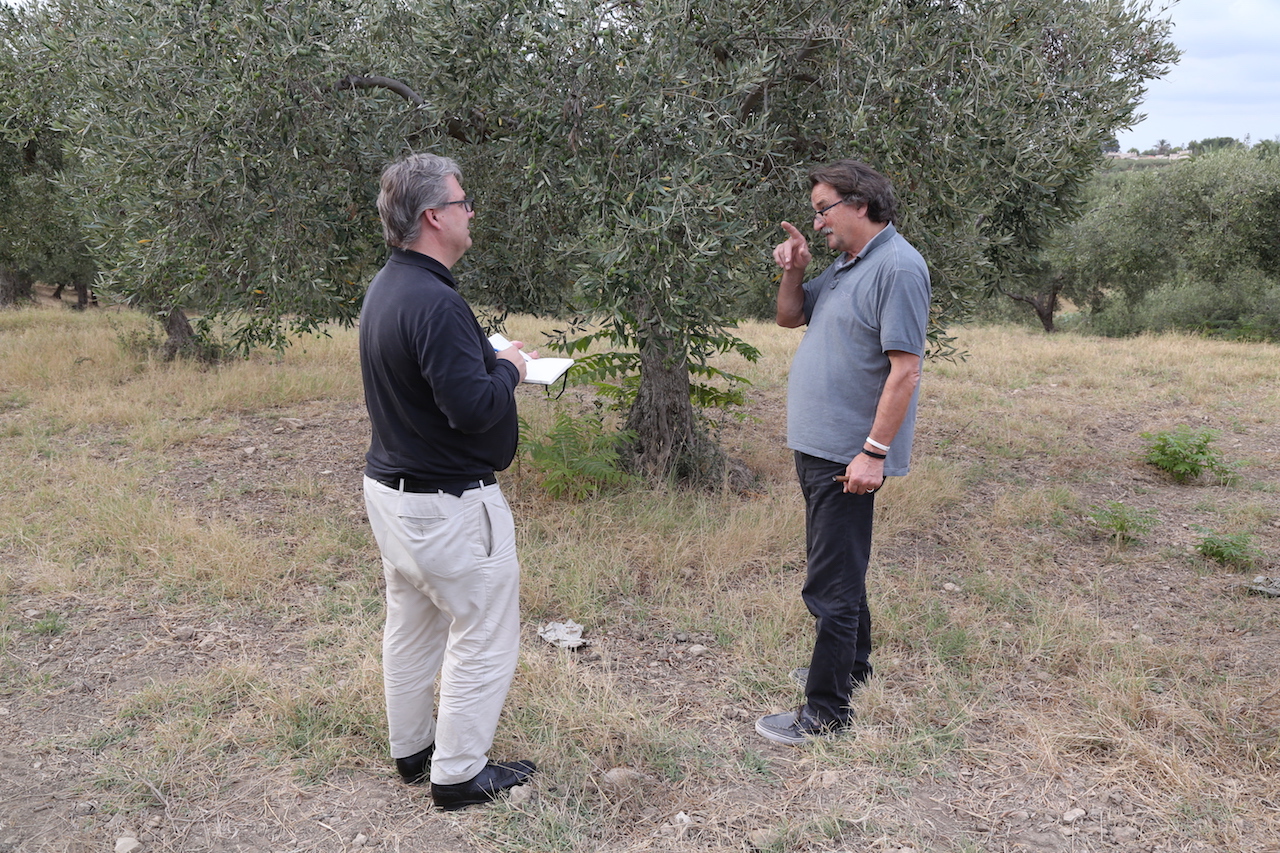 Weingutsbesuch Agroro Societa Agricola A.R.L.
