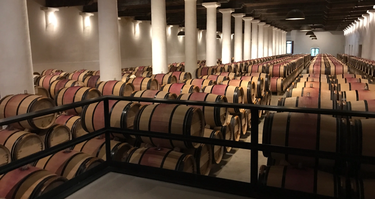 Selection Schwander background image