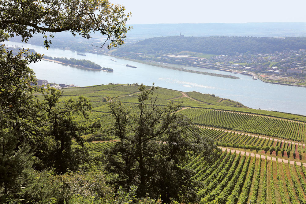 Weingutsbesuch Domänenweingut Schloss Schönborn