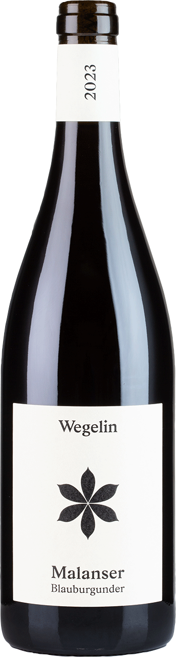 Malanser Blauburgunder