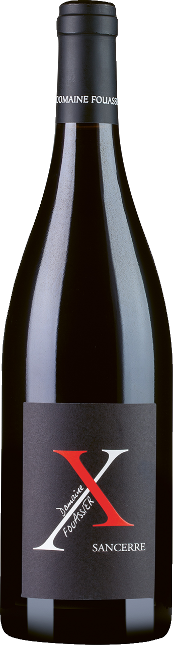 Pinot Noir «Cuvée X», Sancerre (rot) 2008