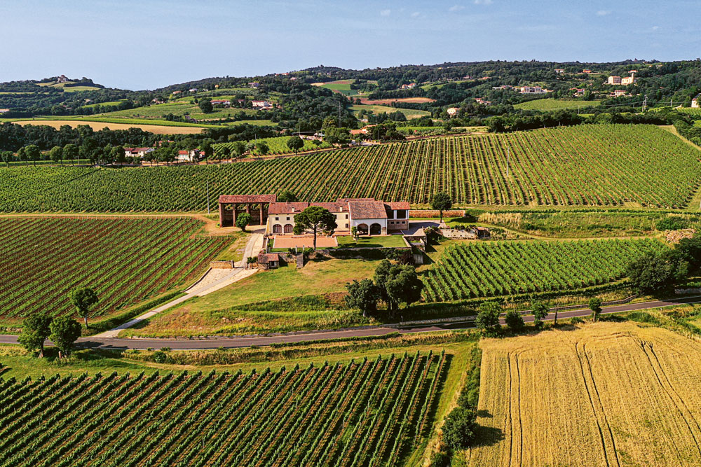 Besuch der Azienda Agricola Inama in Verona | Selection Schwander
